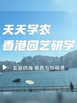 与香港园艺学会联合举办香港园艺研学，专业园境师带队讲解。