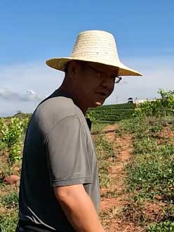 农业人叶涛，50多岁通讯人跨界搞农业，他要用1000万打造一个梦。